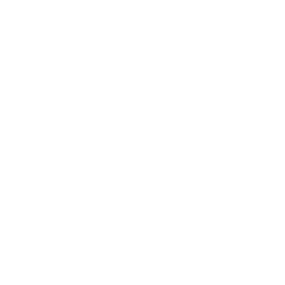logo iZyLiFy Conception Web blanc
